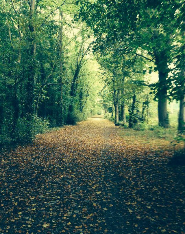 Royal Gunpowder Mills-Ballincollig必去景点