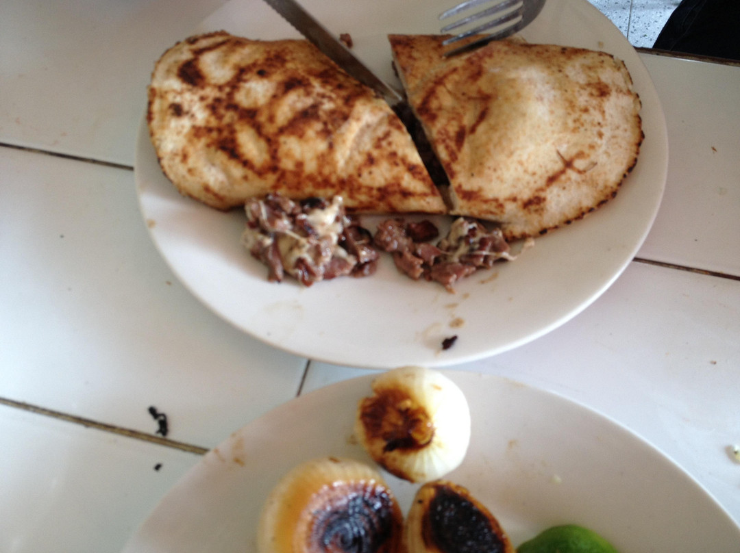 特拉尔内潘特拉餐馆和美食-El Fogon Mexico City