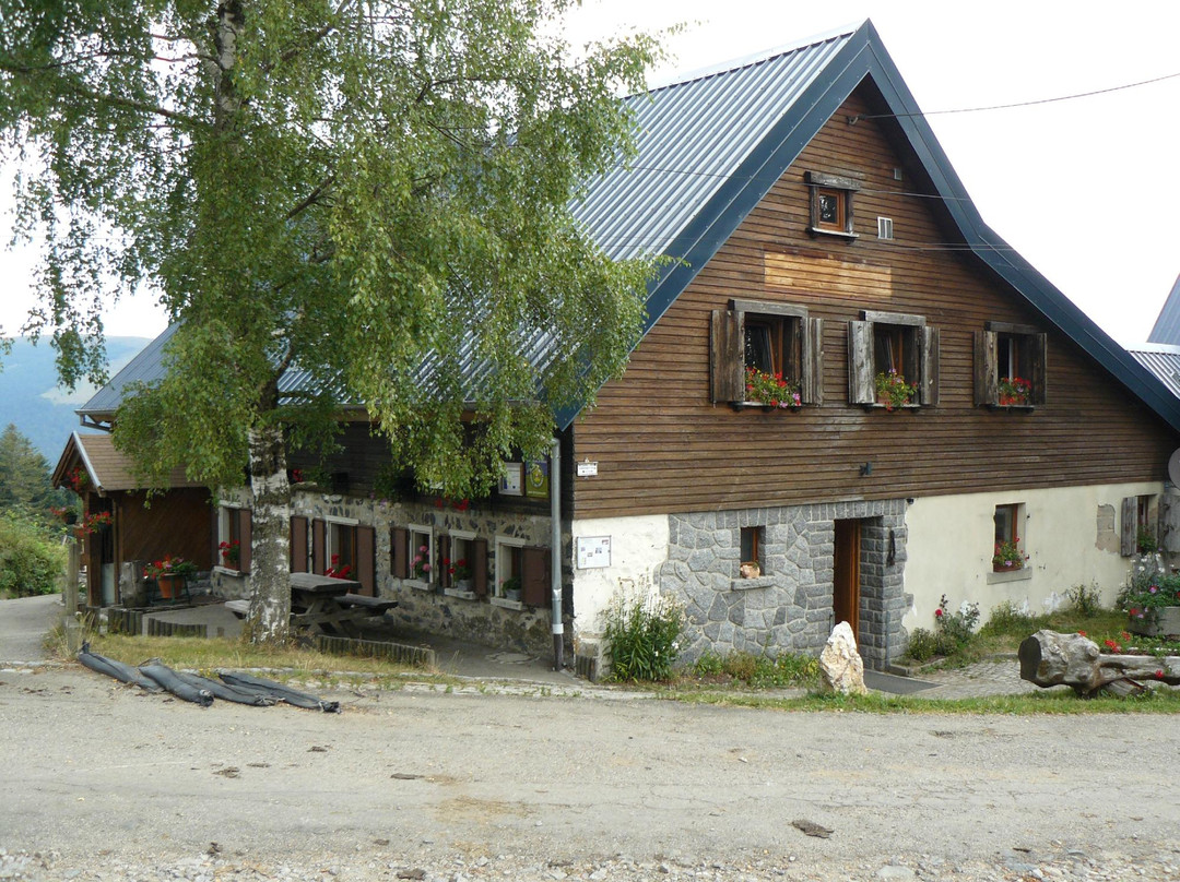 Mittlach酒店住宿-Ferme du Grand Hetre