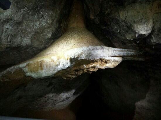 Sontheimer Cave-Heroldstatt必去景点