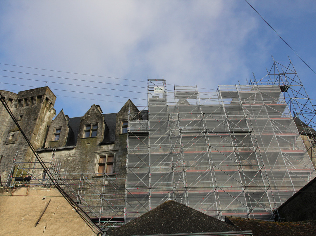 Chateau de Palluau-Frontenac-Palluau-sur-Indre必去景点