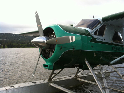 Beluga Air LLC-荷马必去景点