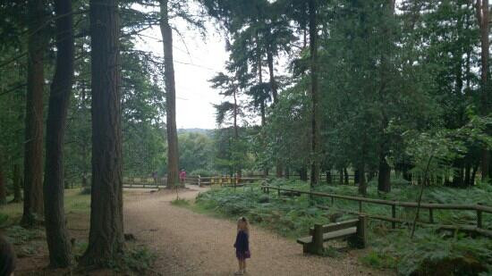 Bolderwood Deer Sanctuary景点图片