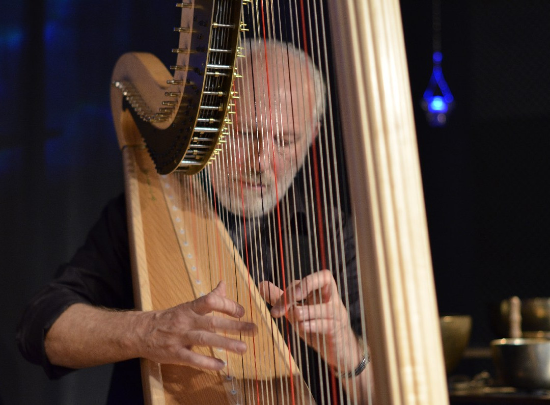 Luc Vanlaere Harpist - Harp Museum-布鲁日必去景点
