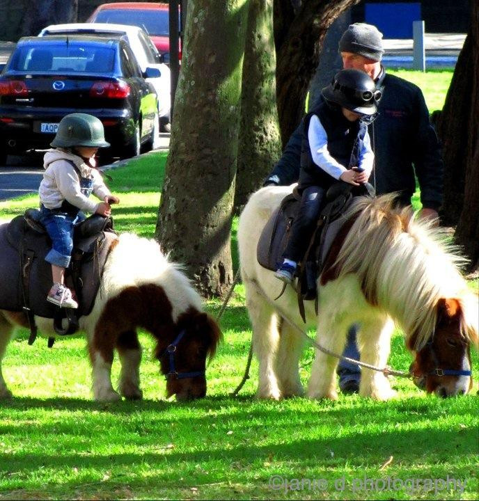 Double Bay Farmers Markets-Woollahra必去景点