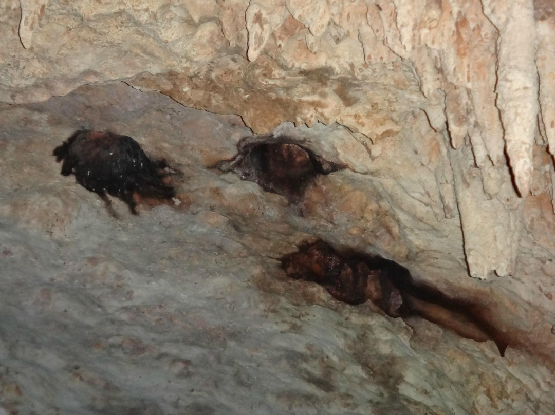 Atkun-Chen Indiana Joe's-Alfredo V. Bonfil必去景点