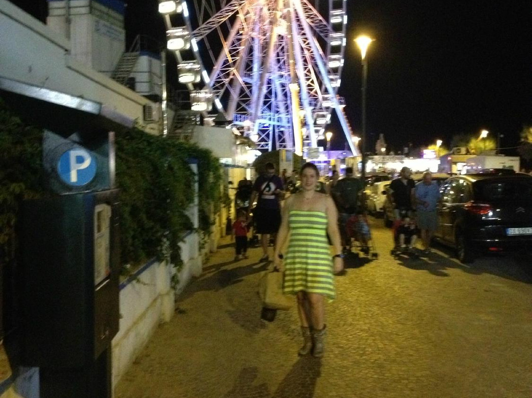 The Wheel of Rimini-里米尼必去景点