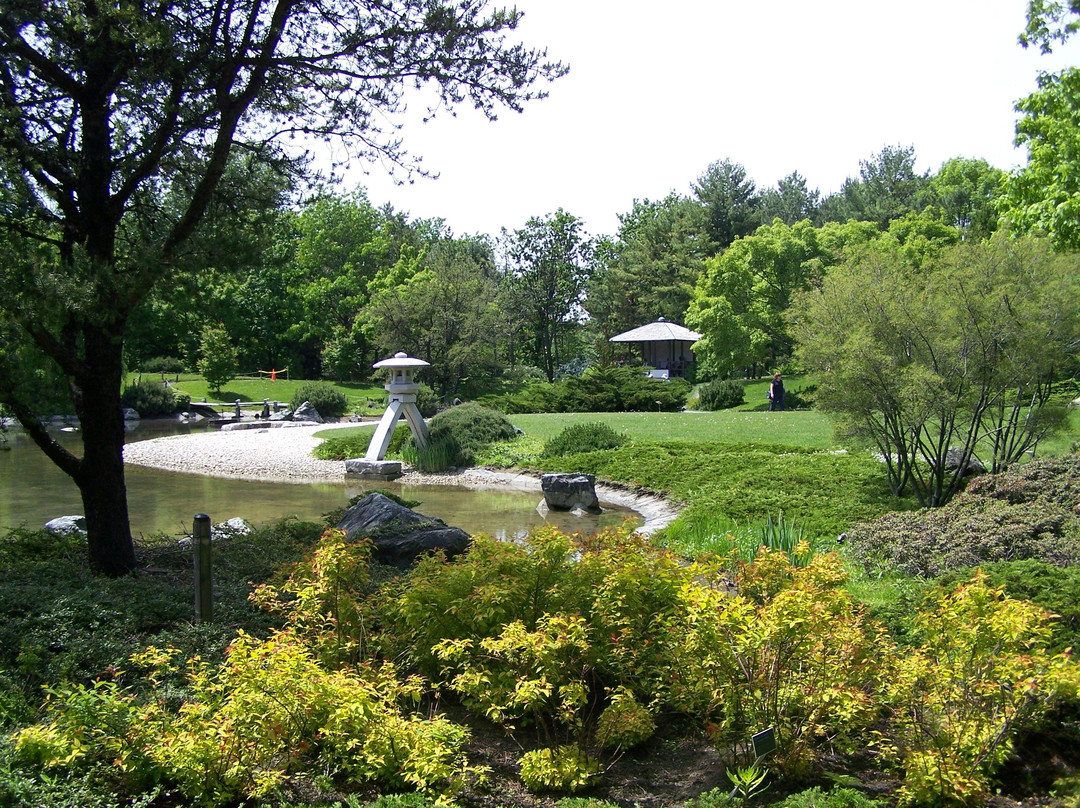 Japanese Garden-蒙特利尔必去景点