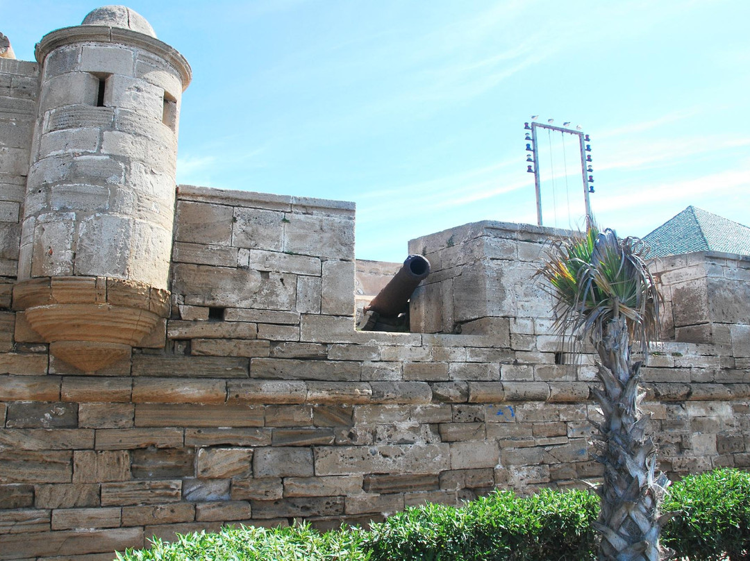 Excursions Essaouira - Day Tours