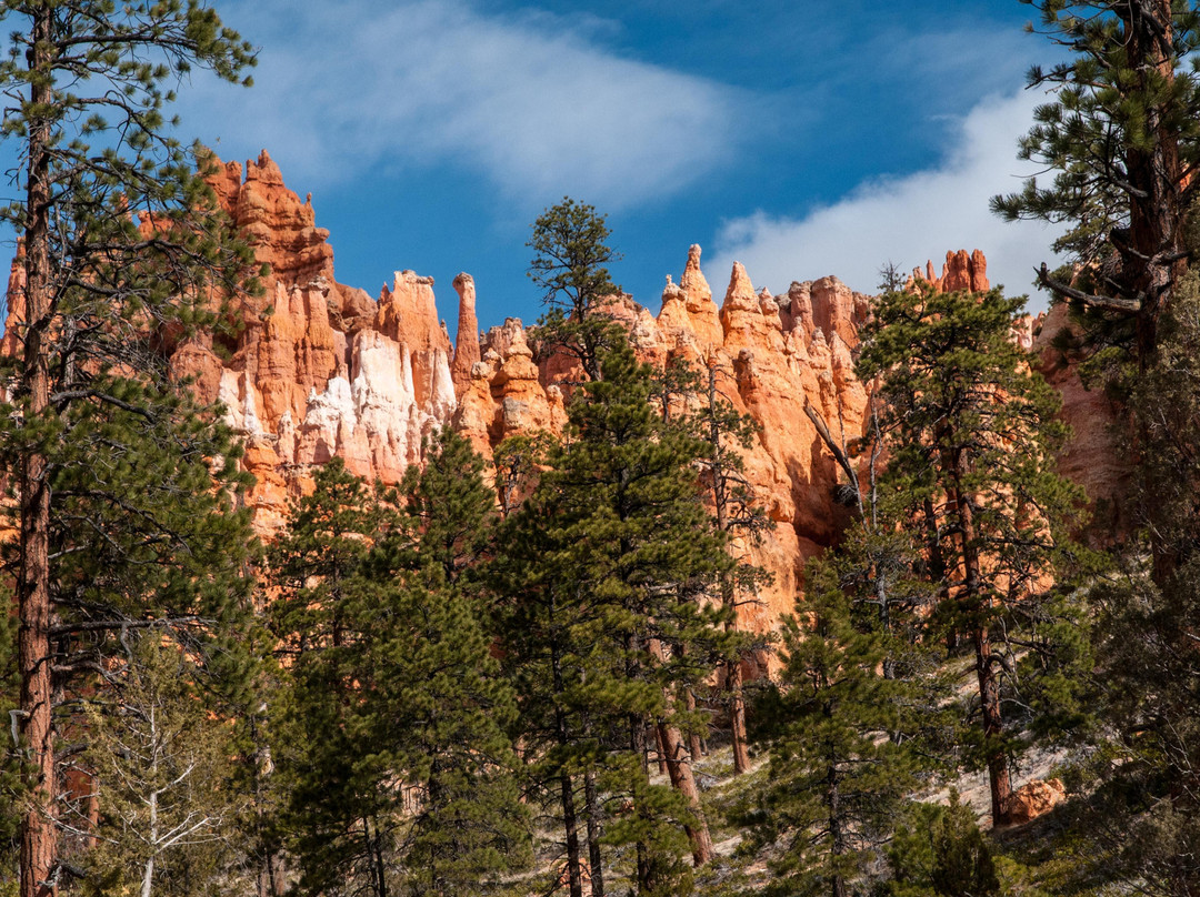 Queen's Garden Trail-布莱斯峡谷国家公园必去景点