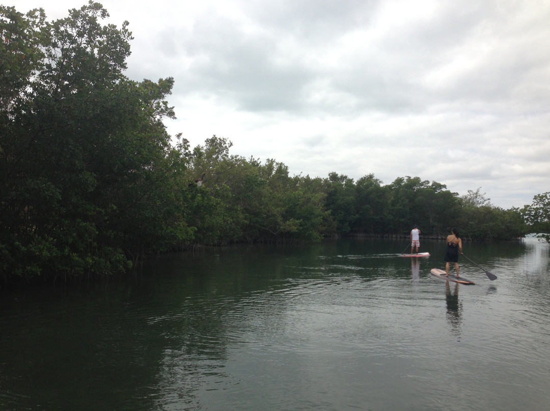 Oleta River State Park-North Miami必去景点