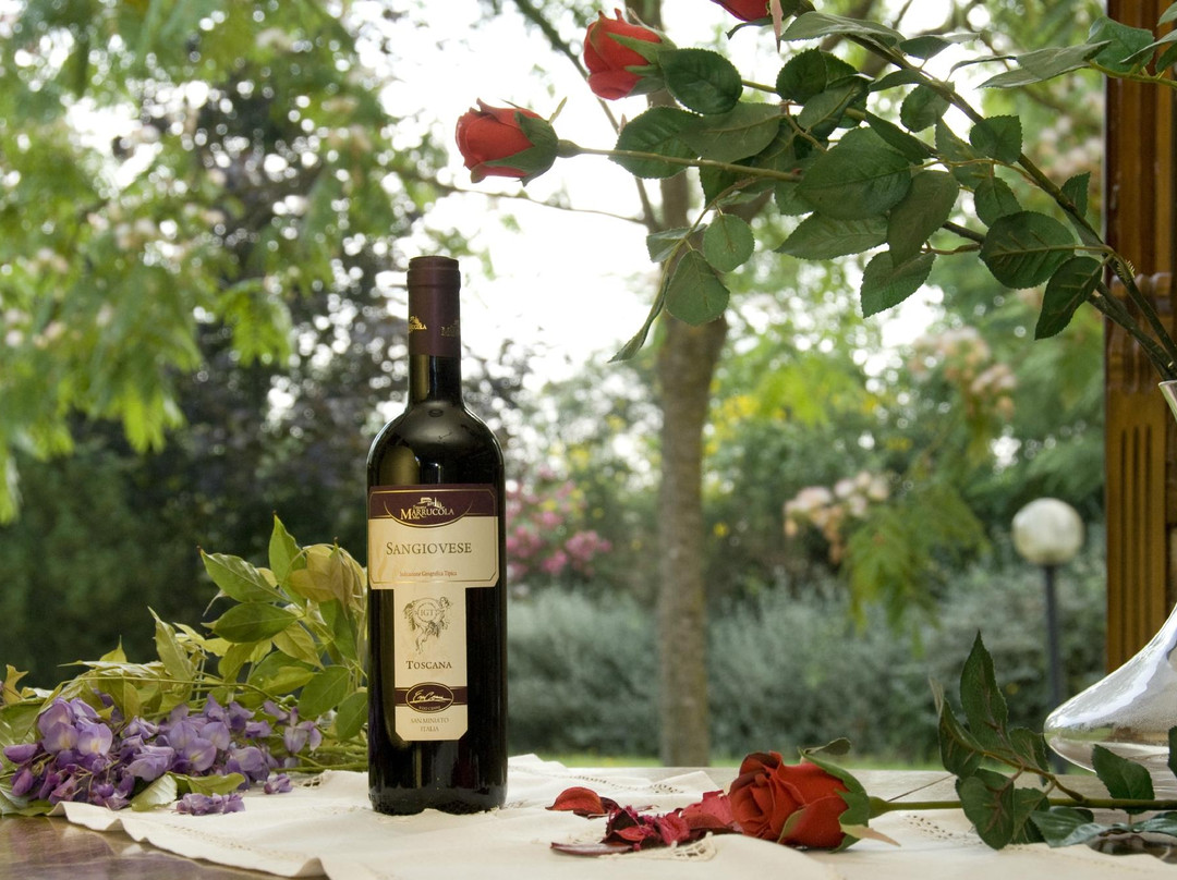 Agriturismo Marrucola