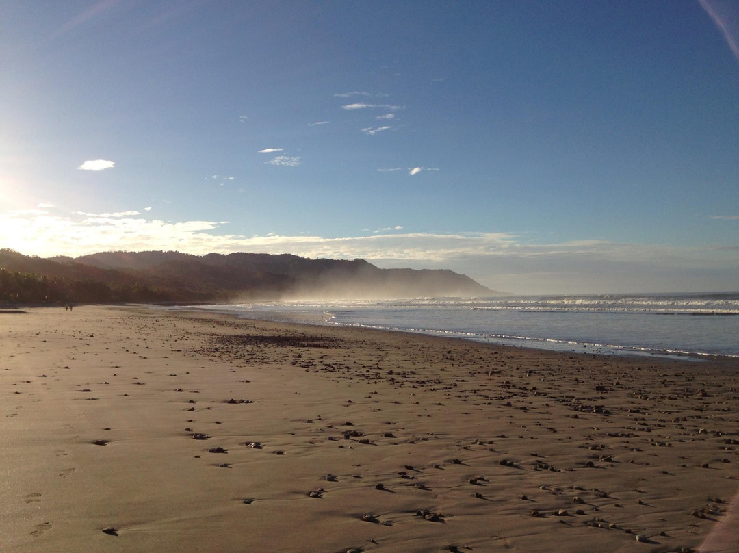 Ollie's Adventures-圣特雷莎必去景点