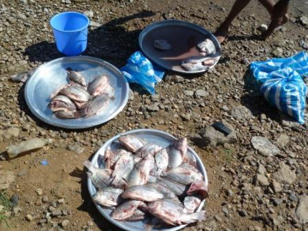 Jabal al-Awliyaʾ Dam-喀土穆必去景点