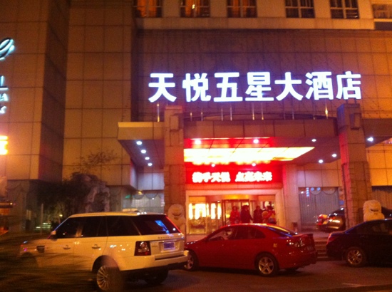 天悦五星大酒店-客卧