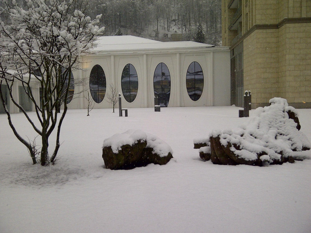 Canton of St. Gallen酒店住宿-Grand Resort Bad Ragaz
