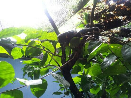 蝴蝶山庄-爱极乐必去景点