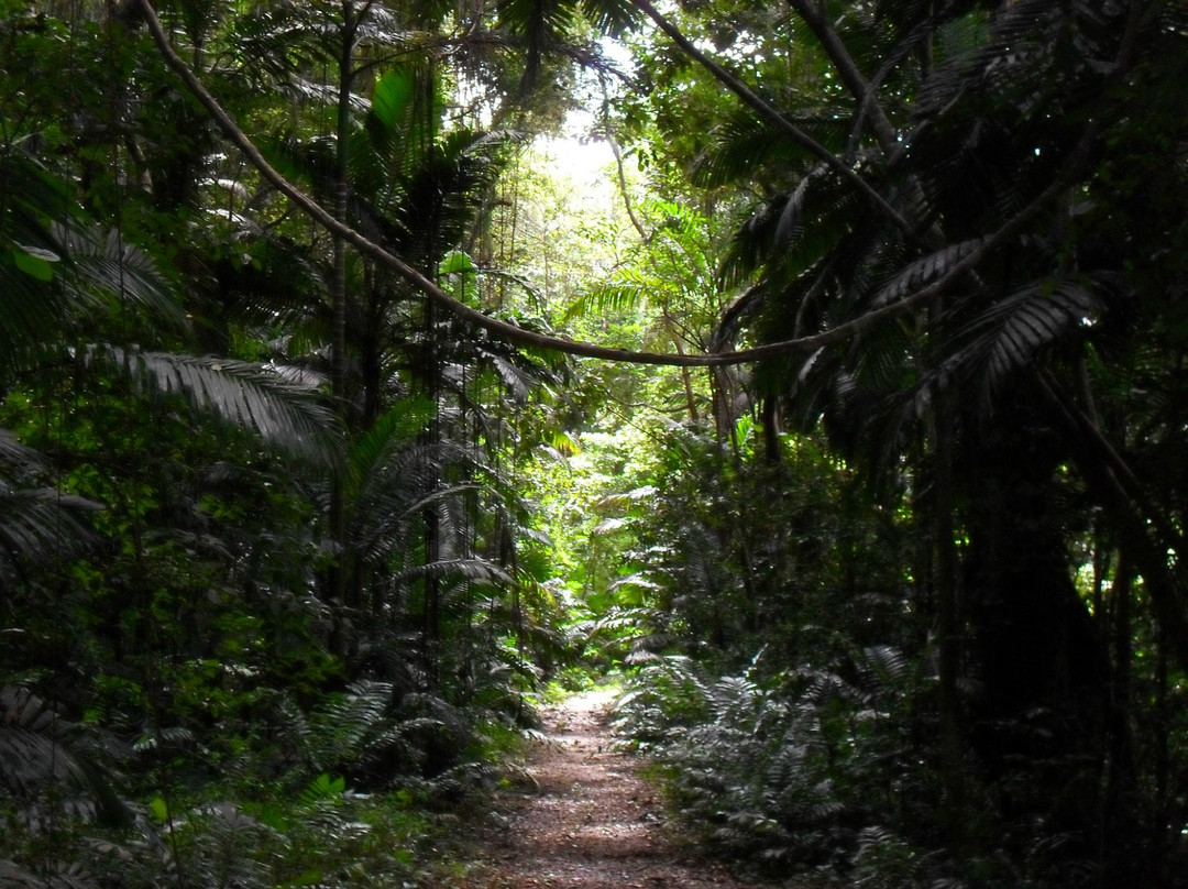 Turner Hall's Woods-Saint Andrew Parish必去景点