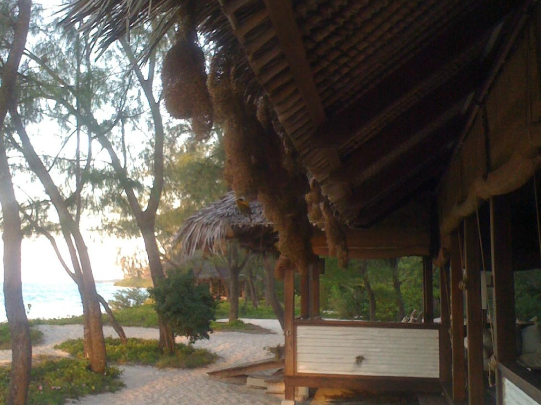 Vamizi Island景点图片