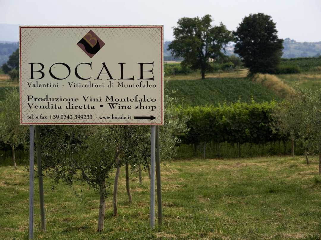 Bocale Vini-Montefalco必去景点