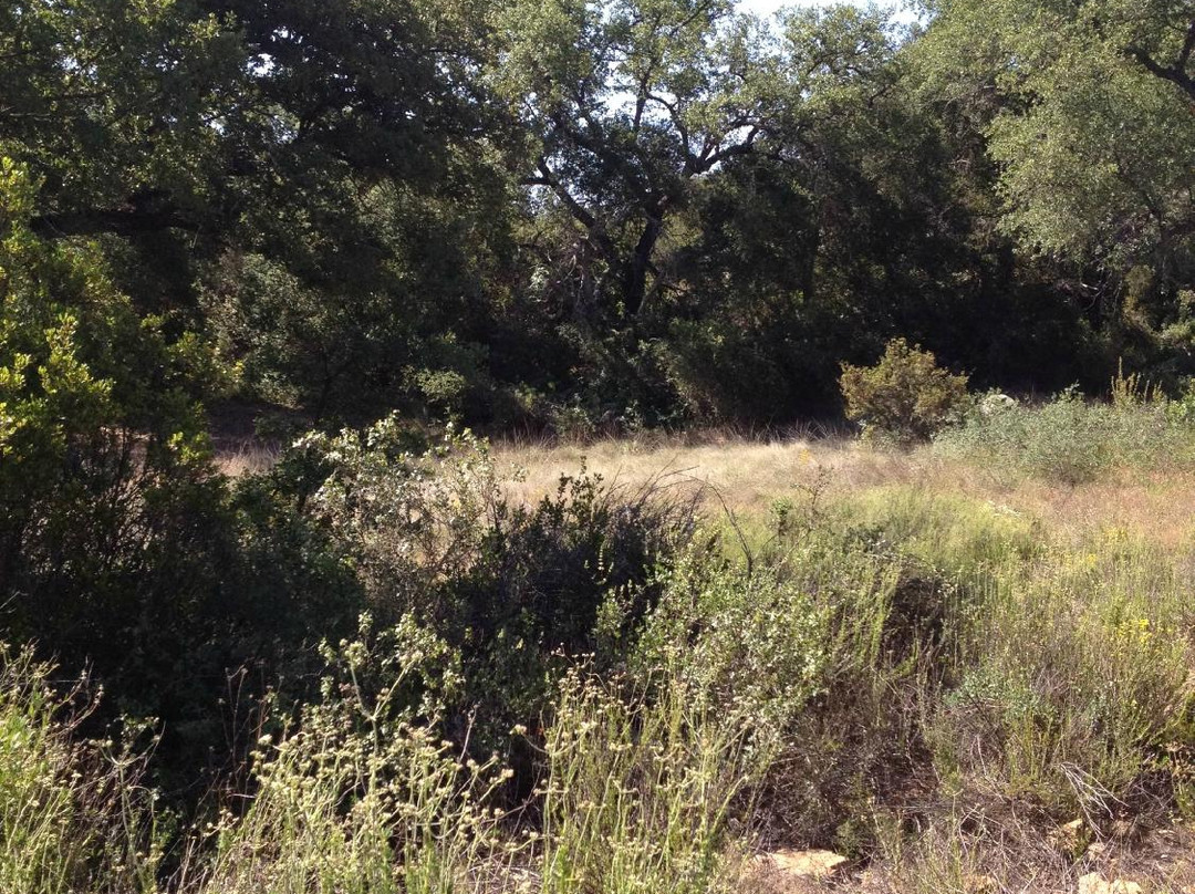 Santa Rosa Plateau Ecological Reserve景点图片