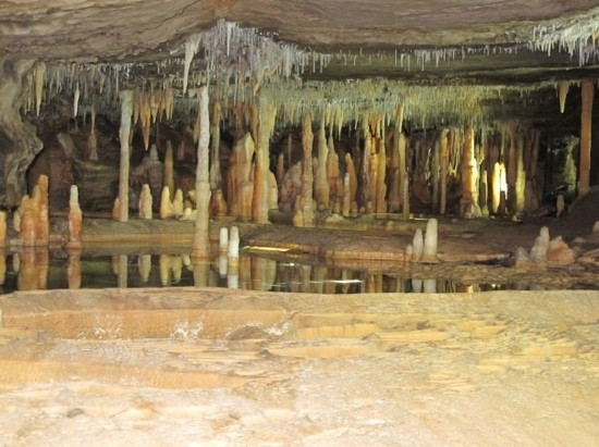 Buchan Caves Reserve景点图片