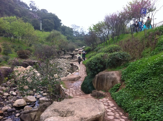 云顶山-厦门市必去景点