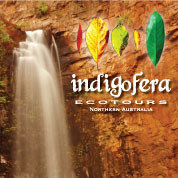 Indigofera Ecotours-Litchfield National Park必去景点