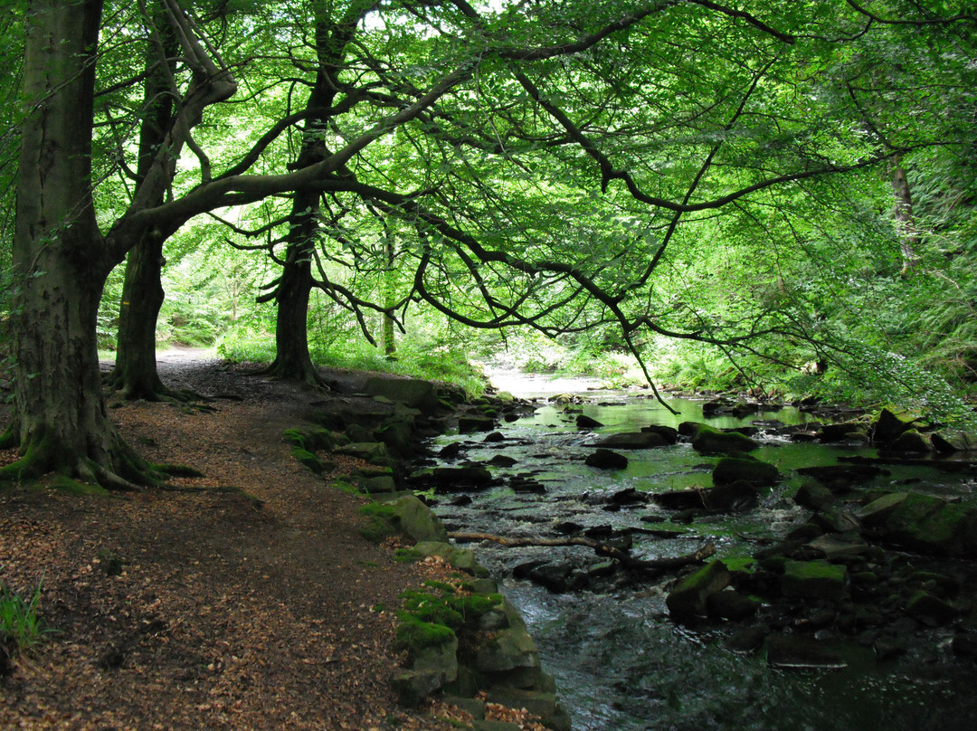 Hardcastle Crags景点图片
