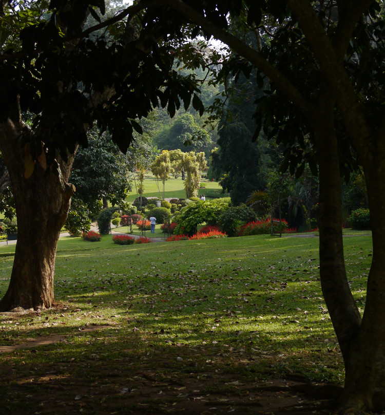 皇家植物园-佩拉德尼亚必去景点