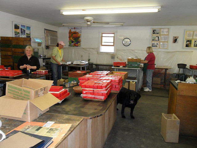 Sugarbush Farm-伍德斯托克必去景点