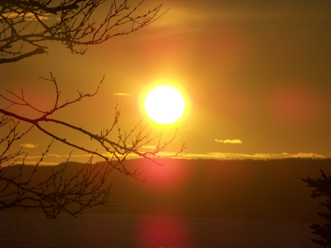 Shallow Bay Motel & Cabins主图