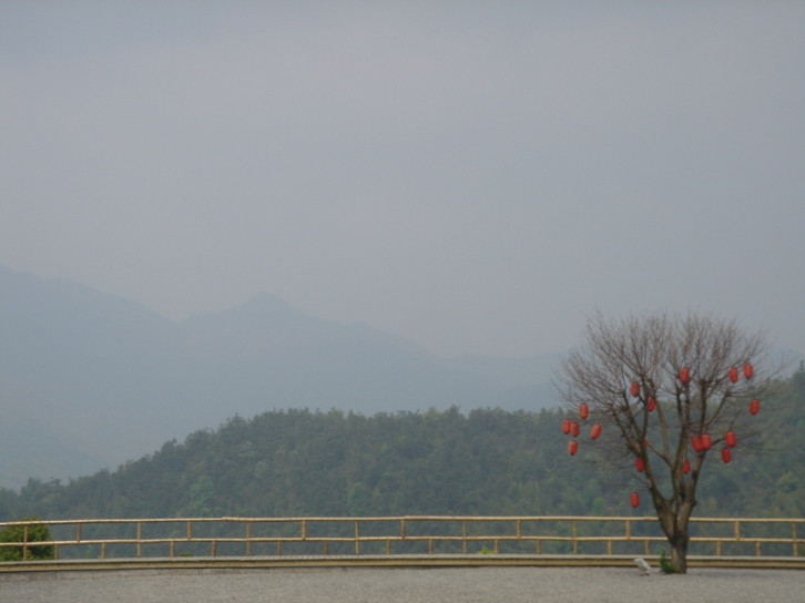 丫山森林公园-大余县必去景点