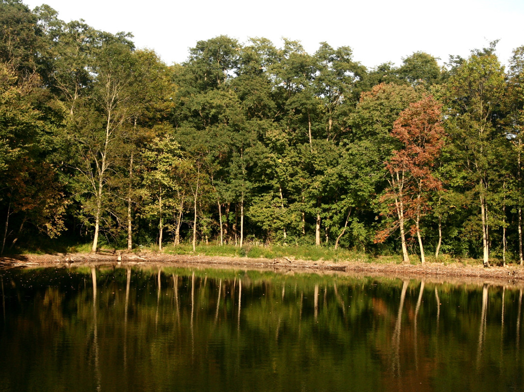 Natural Valley Ranch-Brownsburg必去景点