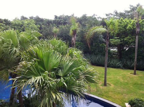 桥头三正半山酒店主图