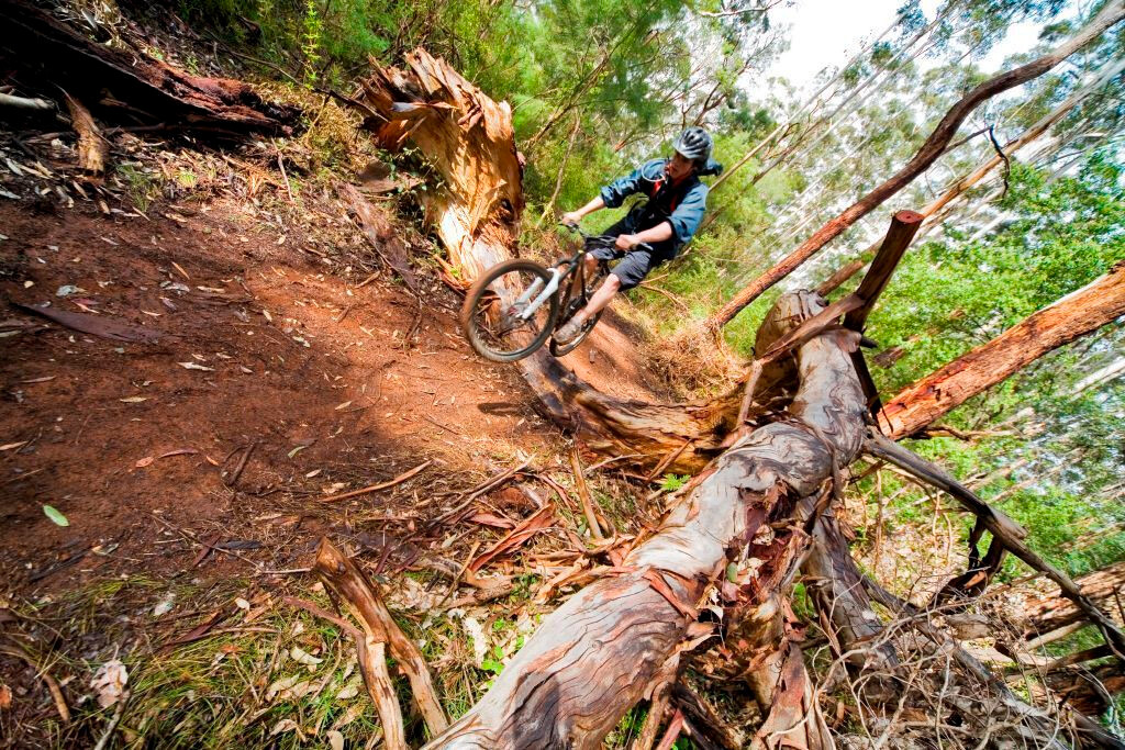 Pemberton Mountain Bike Park-彭伯顿必去景点