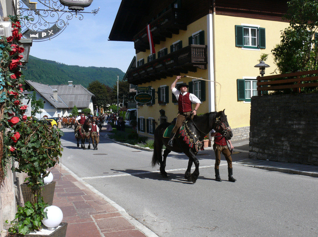 Sankt Koloman酒店住宿-Hotel Pension Wagnermigl