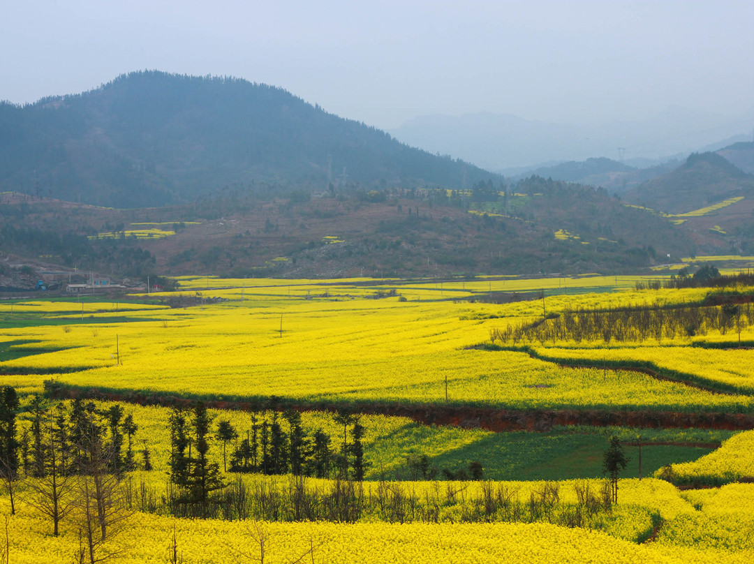 金鸡峰林-罗平县必去景点