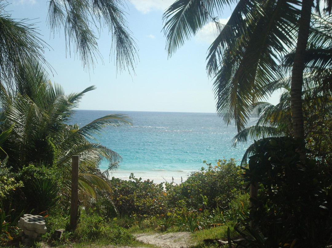 Pink Sands Beach-哈勃岛必去景点