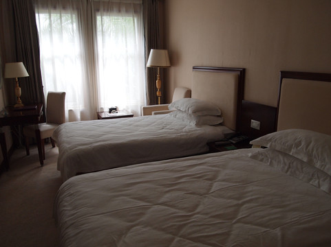 白天鹅大酒店主图