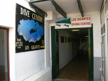 Los Gigantes Diving Centre-洛斯·吉甘特斯必去景点