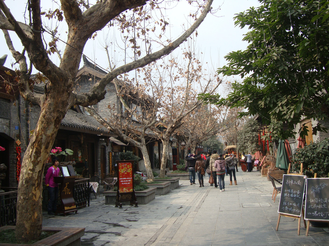 成都龙堂庭院客栈宽窄巷子店主图