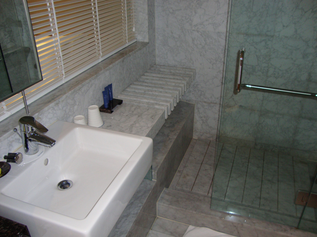 丽兹大酒店主图