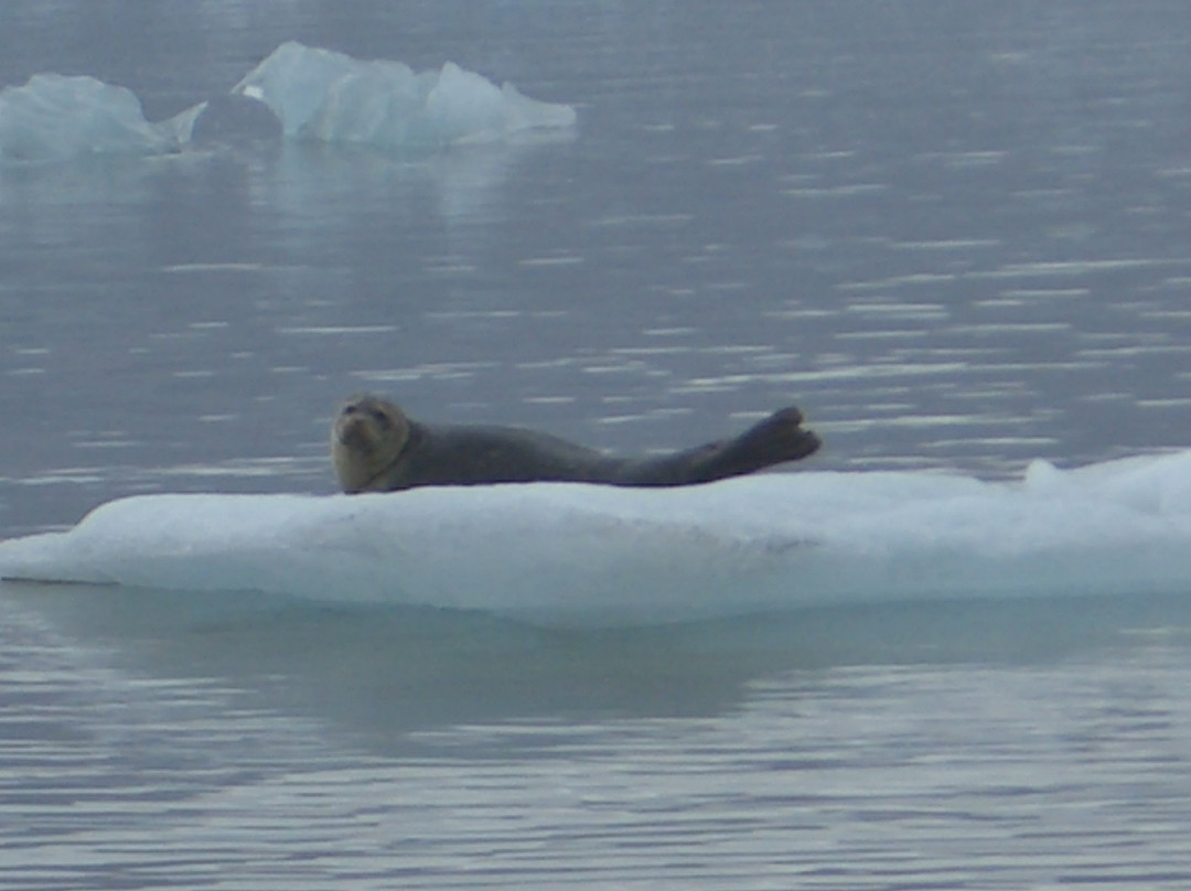 冰河湖-Jokulsarlon必去景点