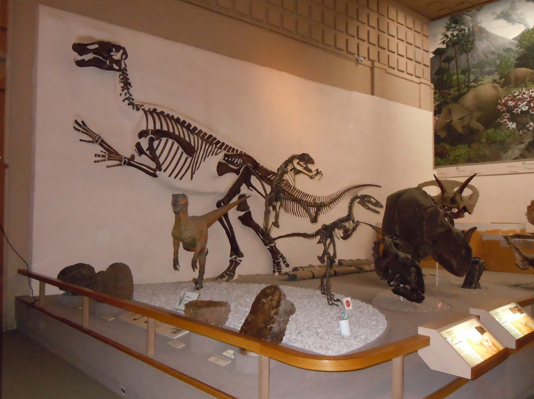 耶鲁大学皮博迪自然史博物馆-纽黑文必去景点