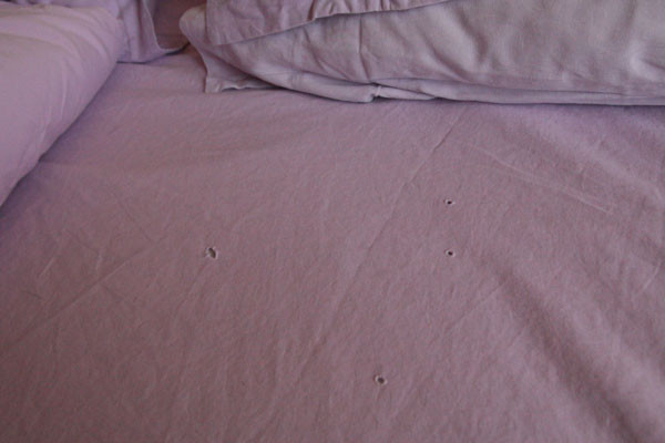 山水时尚酒店(北京鸟巢对外经济贸易大学店)主图