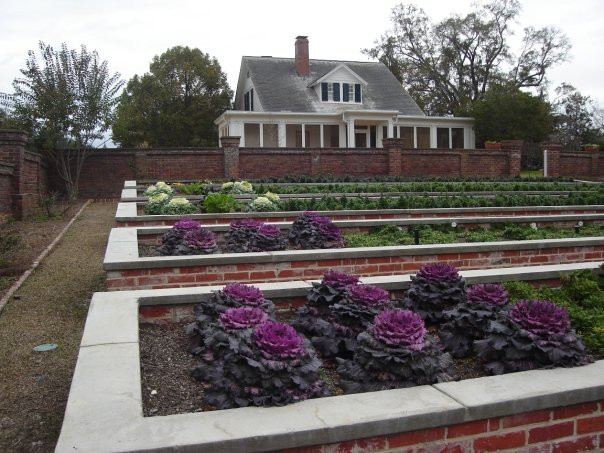 Pebble Hill Plantation-Thomasville必去景点