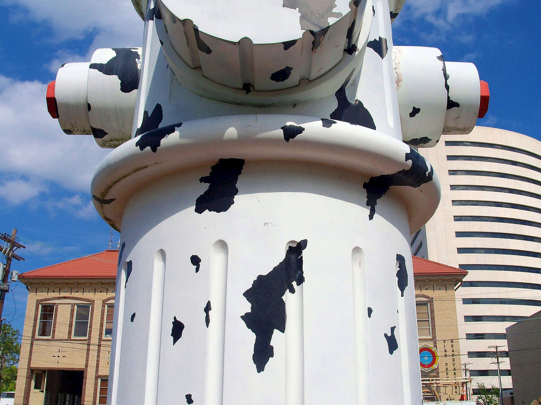 Fire Museum of Texas-博蒙特必去景点