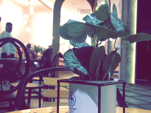 Eight Eighty 88主图