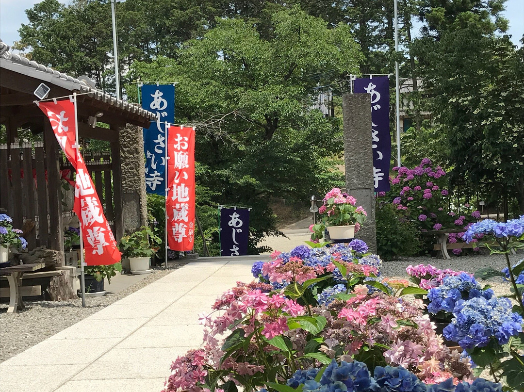 Kinsen-ji Temple-岚山町必去景点